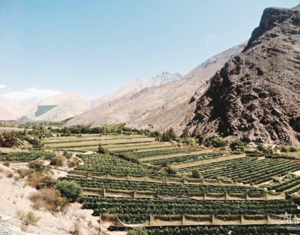 La Vallée d’Elqui, on dirait le Sud… – Chili