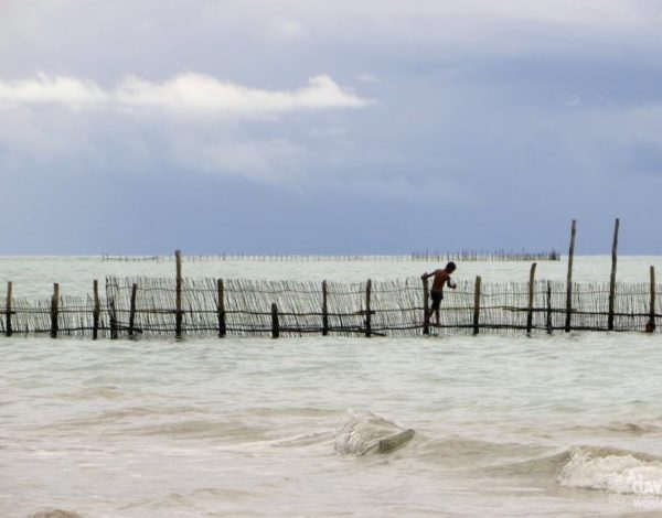 Les plages du Nordeste – Brésil